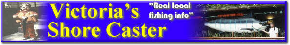Shorecaster Logo